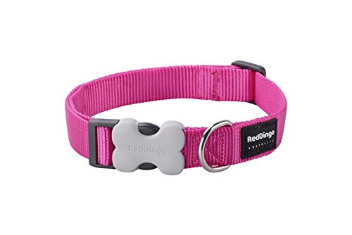 Red Dingo Plain - Collar Perro, Rosa (Hot Pink), talla del fabricante: L