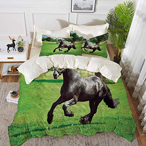 ropa de cama - Juego de funda nórdica, decoración de animales, Firesian Horse Horse Masculine Driving Force of Life Fuerza interior, Funda de edredón de microfibra hipoalergénica con 2 funda de almoha