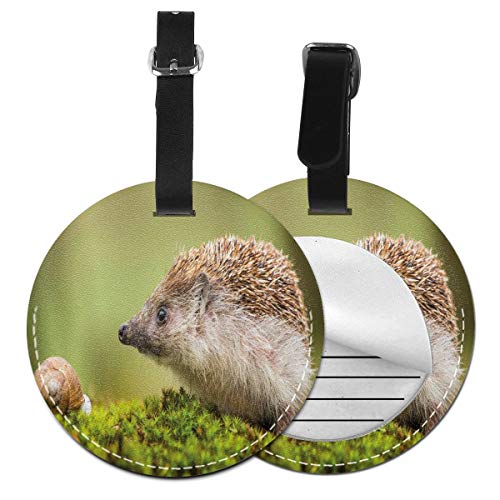 Round Travel Luggage Tags,Animal Photography In Eastern Europe Slug with Hedgehog Scenes from Nature Print,Leather Baggage Tag