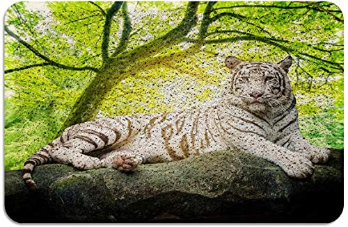 Felpudo de Bosque de árbol de Tigre Blanco Alfombras con Respaldo de Goma de PVC Alfombras de Piso Alfombra Antideslizante para Puerta Delantera Interior Exterior Verde