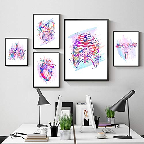 Impresión de anatomía Órganos anatómicos Cartel Cerebro Corazón Pulmones Hígado Pelvis Caja torácica Anatomía Humana Arte Clínica Pintura Arte de la Pared Decoración m 5 Piezas