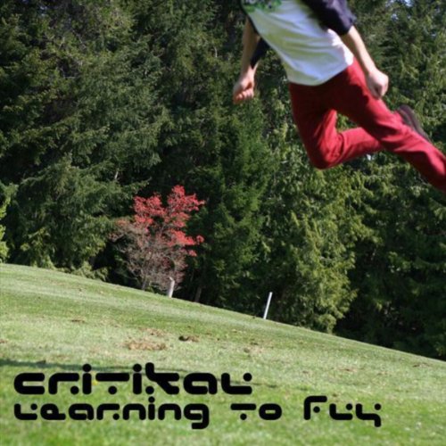 Learning to Fly (2002-2005)