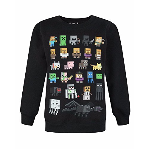 Minecraft - Sudadera oficial modelo Sprites para niños (Años (5-6)/Negro)