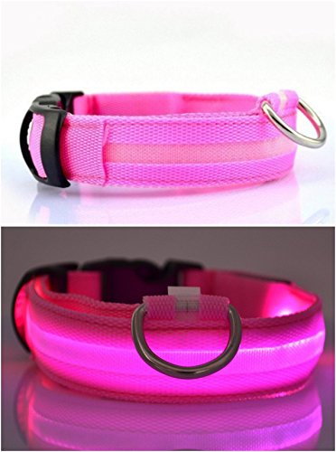 NEO+ Mejor Perro Visibilidad y Seguridad – USB Batería LED Perro Seguridad Collar – LED de Pilas – se Conecta a Dispositivos – no – Gran diversión – tu Perro es más Visible y Seguro (Rosado Medio)