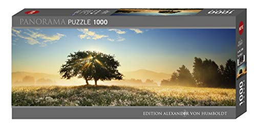 Play of Light: 1000 Teile