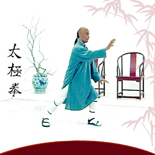 Tai Chi Pro Series Chapter 1