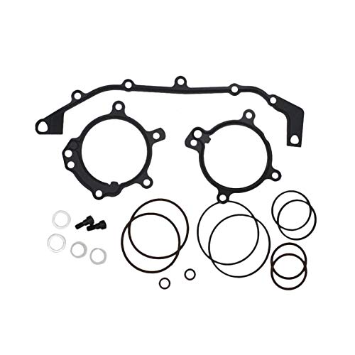 TANGZHOU Kit de reparación de Sellos con Junta tórica Dual Vanos Fit para BMW E36 E39 E46 E53 E60 E83 E85 M52TU M54 M56