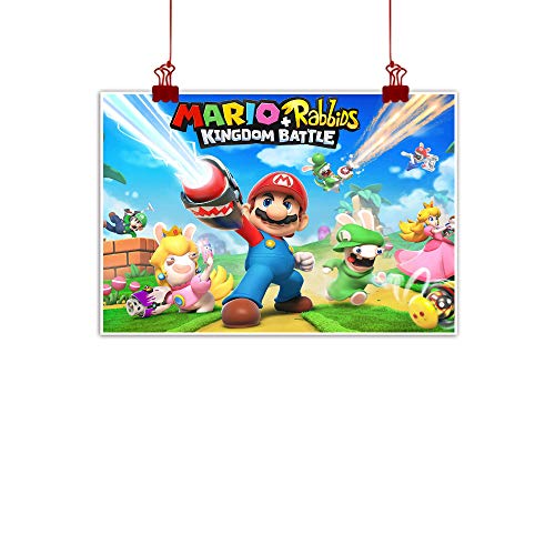 Xlcsomf Pintura al óleo de anime HD para pared, pintura al óleo, diseño de Mario y rabbids Kingdom Battle para decoración de sala de estar, sin marco, 45,7 x 30,5 cm