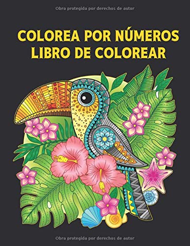 Libro de Colorear Colorea por Números: Libro de Colorear 60 Colorea por Números Diseños de animales, pájaros, flores, casas y patrones Fácil a Difícil ... Aliviar el Estrés Libro Colorear Adultos