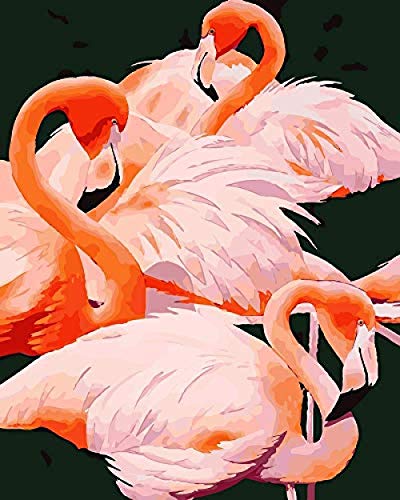 Pintura De Bricolaje Por Números Para Adultos Niños Niñas Flamingo Family Pink Feather Dancing 40X50Cm Pintura Al Óleo Sobre Lienzo Preimpresa -No Frame