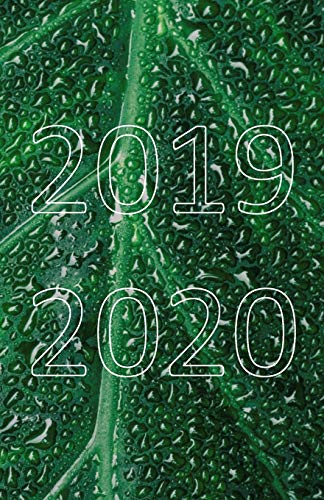 2019 - 2020: 18 Month Academic Planner from JULY 2019 through DECEMBER 2020 with yearly overviews, monthly & weekly layouts, schedule… / Green Leaf Modern Cover Design (Monday start week)