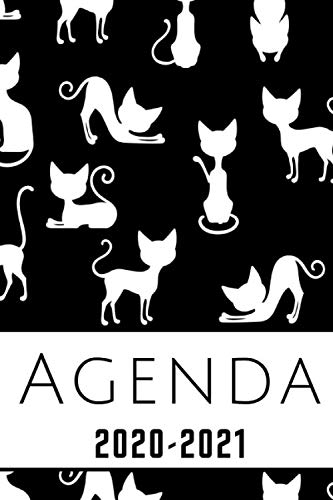 agenda escolar 2020-2021: agenda gatos 2020 2021, agenda 2020 2021 semana vista, Septiembre 2020 a Sep 2021, calendario, planificador semanal a5, Colegio, secundaria, estudiante