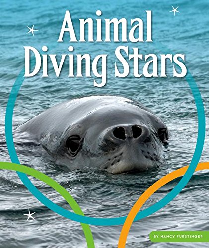 ANIMAL DIVING STARS (Animal Olympics)