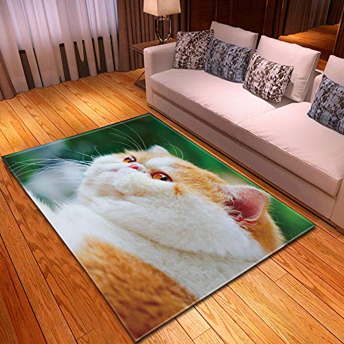 BFSOC Alfombra Rectángulo Antideslizante Alfombra Garfield Lujosa Suave Lana Artificial Alfombra para Salón Dormitorio Habitación de Los Niños 120X170 cm