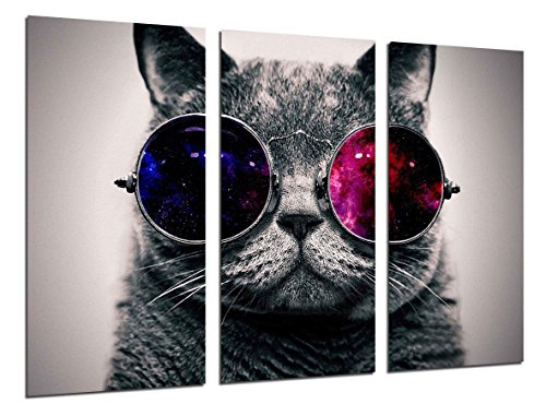 Cuadro Fotográfico Gato Lennon, Gafas Vintage Tamaño total: 97 x 62 cm XXL