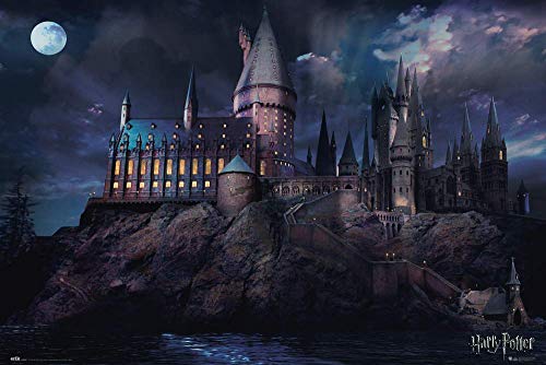 ERIK - Póster Harry Potter Hogwarts, 61 x 91, 5 cm