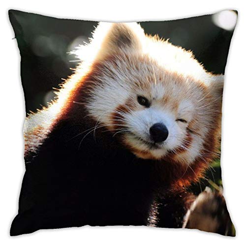 Funda de almohada decorativa para el hogar con diseño de Panda Firefox Trava, para regalo, hogar, sofá, cama, coche, 45,72 x 45,72 cm