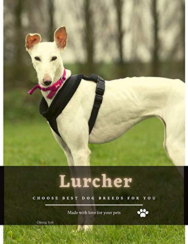 Lurcher: Choose best dog breeds for you (English Edition)