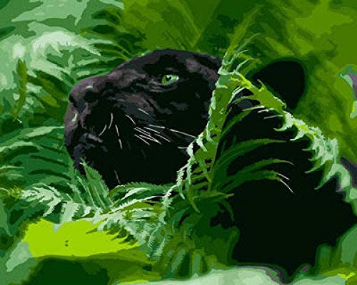 M-E Kit de Pintura por número para Adultos para Principiantes de Pintura para Adultos y niños con Pinceles de Pinturas acrílicas para Lienzo de 40 x 50 cm (sin Marco) （WM-1978-Green Leaf Panther）