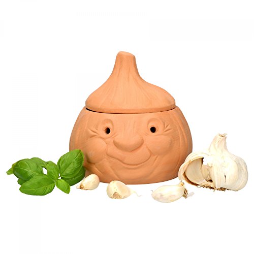 Mambocat Ajo Olla Knut, Tarro de terracota para guardar aprox. 250g ajos, Divertido recipiente para almacenar ajo, Tarro de conservación para alimentos