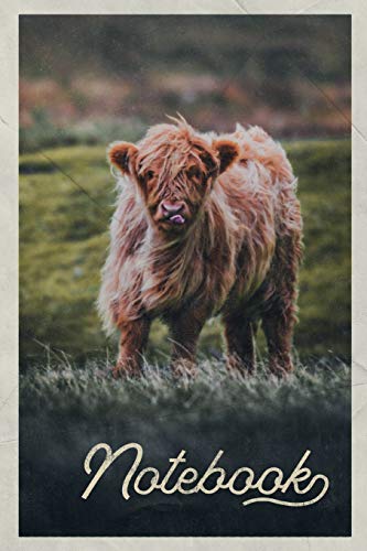 Notebook: Aberdeen Angus Cattle Excellent Composition Book Journal Diary for Men, Women, Teen & Kids Vintage Retro Design for researching where to see Highland Cows in Scotland