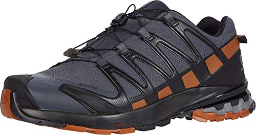 Salomon XA Pro 3D V8 GTX, Zapatillas De Trail Running Y Sanderismo Impermeables Versión Màs Ligera Hombre, Color: Negro (Ebony/Caramel Cafe/Black), 42 EU