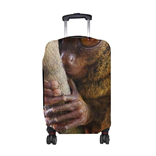 Tarsier Tarsier Primate Genus Big Eyes Pattern Print Protector de Equipaje de Viaje Funda de Maleta de Equipaje Se Adapta a Equipaje de 18-21 Pulgadas