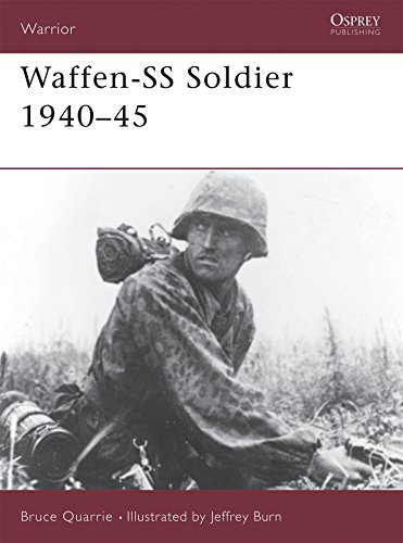 Waffen-SS Soldier 1940-45: No. 2 (Warrior)