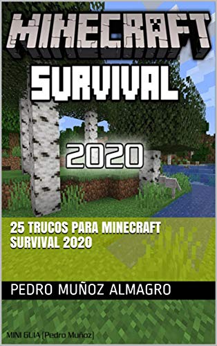 25 trucos para MINECRAFT SURVIVAL 2020: (PARTE I) (JUEGOS ON LINE)