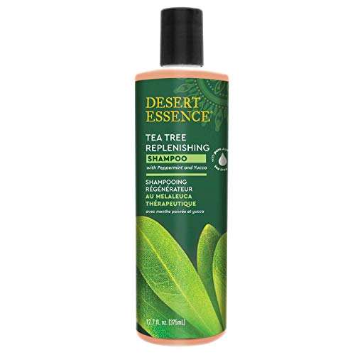 Desert Essence Tea Tree Replenishing Shampoo Unisex No profesional Champú 382ml - Champues (Unisex, No profesional, Champú, Cabello seco, 382 ml, Hidratante, Purificante, Brillo)