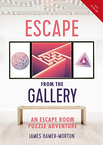 Escape from the Gallery: An Entertaining Art-Based Escape Room Puzzle Experience