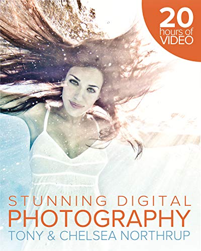 How to Create Stunning Digital Photography (English Edition)