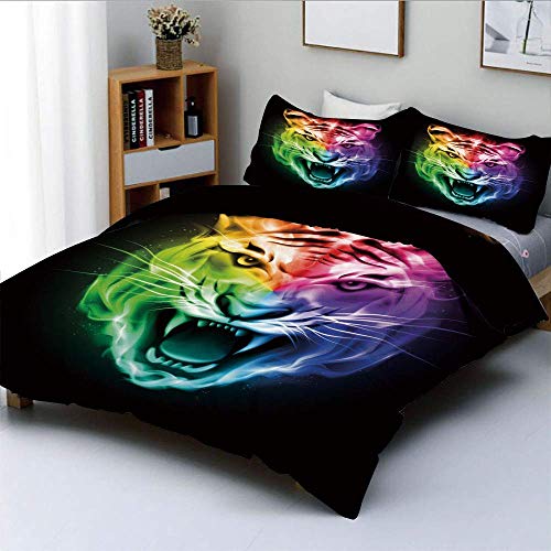 Juego de funda nórdica, representación abstracta multicolor Gran espectro de fuego ardiente felino Rainbow ColorDecorative Juego de cama de 3 piezas con 2 fundas de almohada, multicolor, el mejor rega