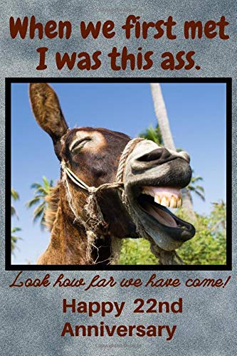 When We First Met I Was This Ass. Look How Far We Have Come! Happy 22nd Anniversary: Funny Donkey 22nd Anniversary Gifts for Him and Her / Anniversary ... Anniversary Gifts For Girlfriend Husband Wife