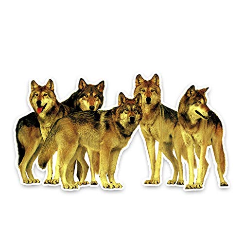 XXYMCB 14.5 cm * 8 cm Moda Feroz Lobo PVC Animal Coche Pegatina calcomanía decoración 3 Piezas