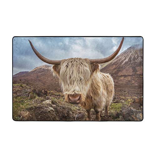 Alfombrilla de baño,Antideslizante,Naturaleza Ganado Vaca Paisaje Escocia La Isla Skye Mountain Animal National Highland Landscape Alfombra de Ducha 75cmx45cm