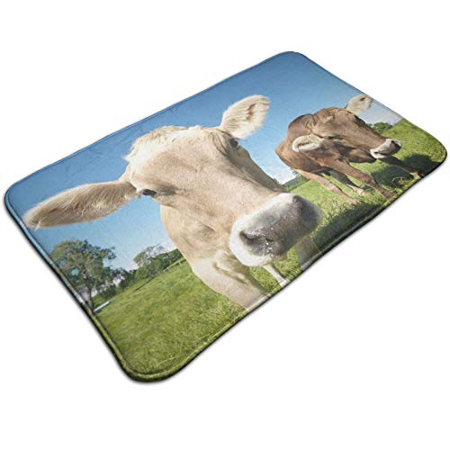 Bathroom Rugs Bath Mat Door Mats，Close Up Sweet Photo of Cows At Meadow In A with Open Sky，Rug for Inside Outdoor