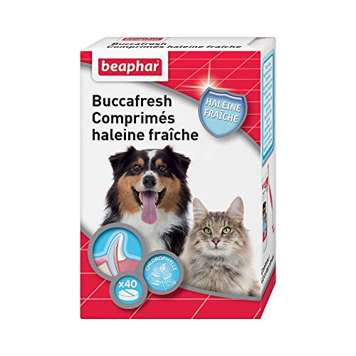 Beaphar – Comprimidos de Aliento Fresco – Combate el Mal Aliento del Perro y el Gato – a Base de extracto Natural de clorofila – Cura de 2 a 3 semanas – Caja de 40 Comprimidos