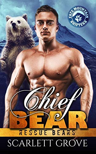 Chief Bear: 1 (Rescue Bears)