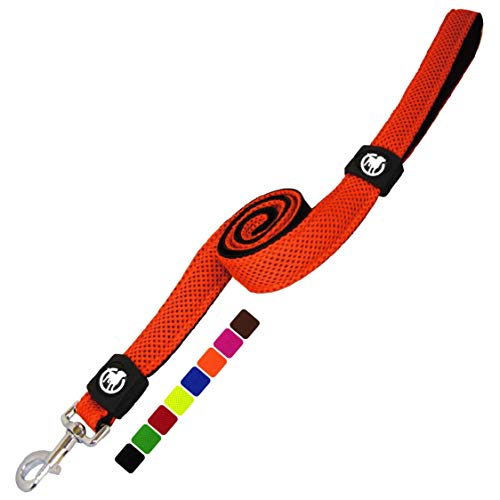 DDOXX Correa Perro Air Mesh, Acolchado, Lazo de Mano, 120 cm | Muchos Colores & Tamaños | para Perros Pequeño, Mediano y Grande | Accesorios Gato Cachorro | Naranja, S