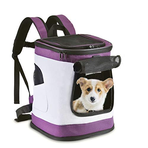 HAPPY HACHI Mochila Plegable para Perros Gatos Transporte para Perro Bolso Transportín Viaje con Correa Relleno Ajustable Camiseta Transpirable Morado