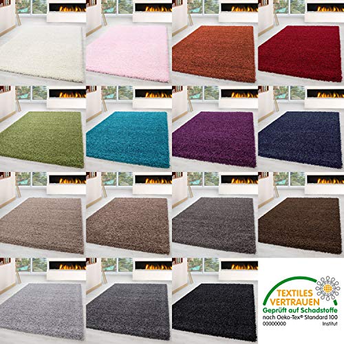 HomebyHome Shaggy Alfombra Pelo Largo pequeño Extra Grande Grueso Suave salón Unicolor, Color:Gris Claro, tamaño:240x340 cm