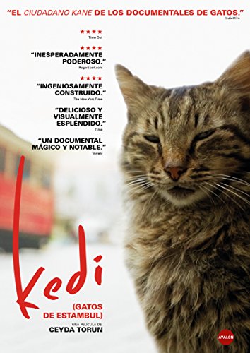 Kedi (Gatos de Estambul) [DVD]