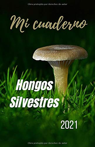 Mi Cuaderno Hongos Silvestres 2021: Cuaderno de recogida de setas silvestres | Micólogos aficionados y expertos | Fichas técnicas detalladas en blanco ... | 51 páginas, Un bonito regalo para ofrecer