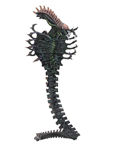 Neca- Alien Snake Figura 18 cm Aliens Serie 13, Color (NEC0NC51668) , color/modelo surtido