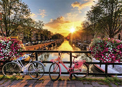 OKOUNOKO Puzzles 1000 Piezas Adultos, Amanecer De Amsterdam, Personalizado De Madera Montaje Rompecabezas Divertido, 75X50Cm