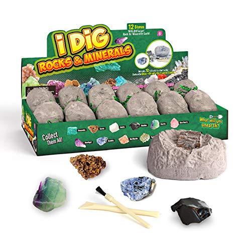 STKASE® Muestras minerales Dig Kit - Excavar 12 Gemas Reales con Este Kit De Excavación, Los Juguetes Educativos De Ciencia Hacen Grandes Actividades para Niños