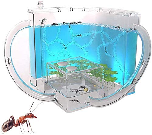 VULID Nidos De Hormigas, Granja 3D con Área De Visualización De Maze Maze Translúcido, Hábitat De Granjas De Hormigas para Niños para Hormigas Domésticas, Ciencias De Juguete Educativo