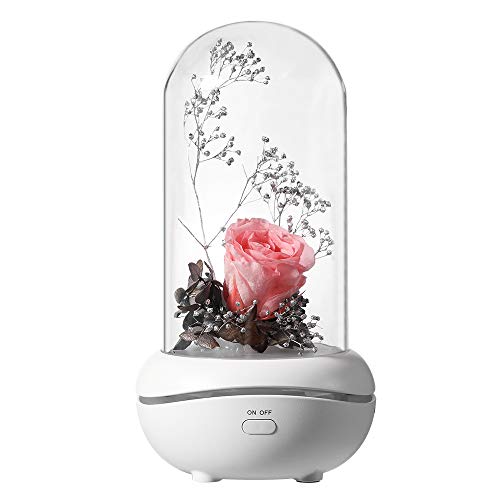 Bainuojia Rosa Eterna Flower Lamp en Glass, LED Aromaterapia Luz con Flor de Rosa,Romántico Aceites Esenciales Difusor Regalos para el hogar para Navidad San Valentín Aniversario Regalo,Rosado