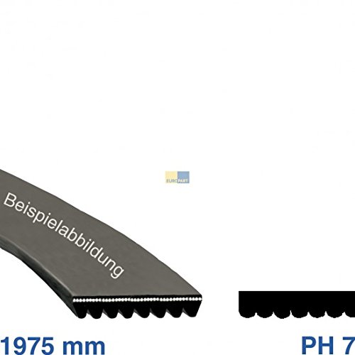 Europart Dryerribbed Correa 1975 Ph 7, Cinturones Adapta a Machines OFUA Aeg Bosch Siemens.